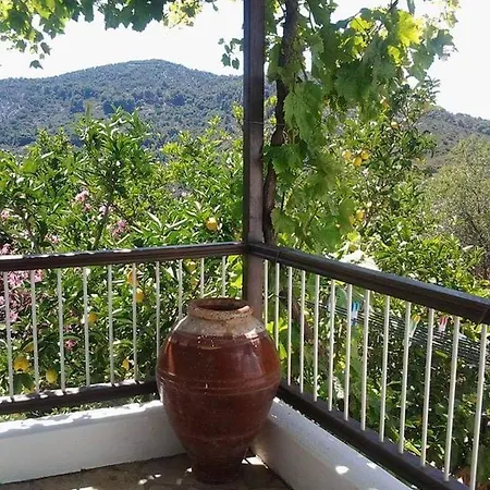 דירה Panayiota *