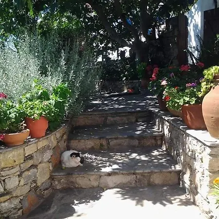 Apartment Panayiota Alónnisos