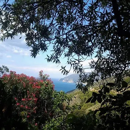 Panayiota Alónnisos