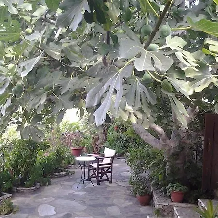 Panayiota